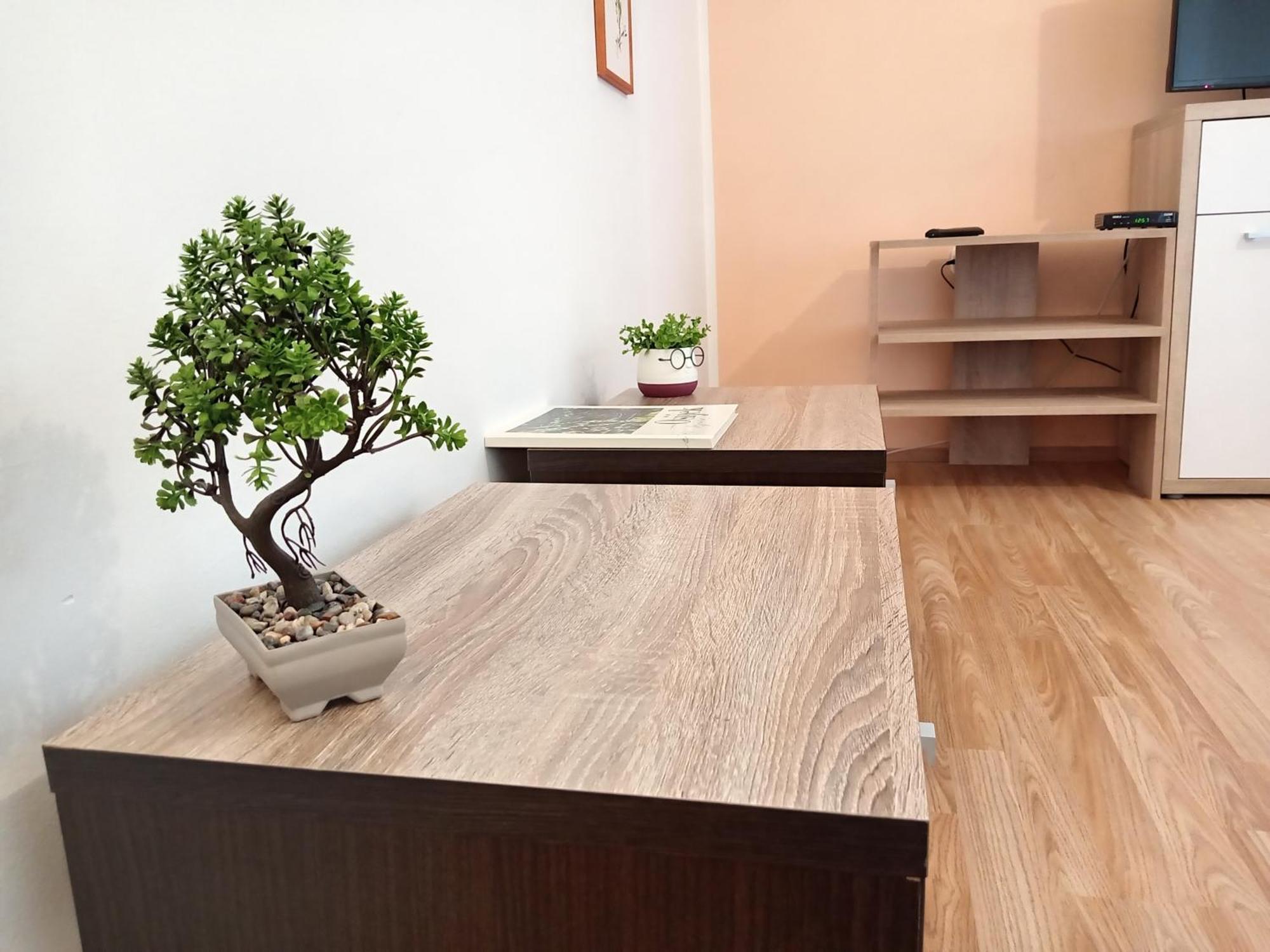 Apartments Kosevic 奥西耶克 外观 照片